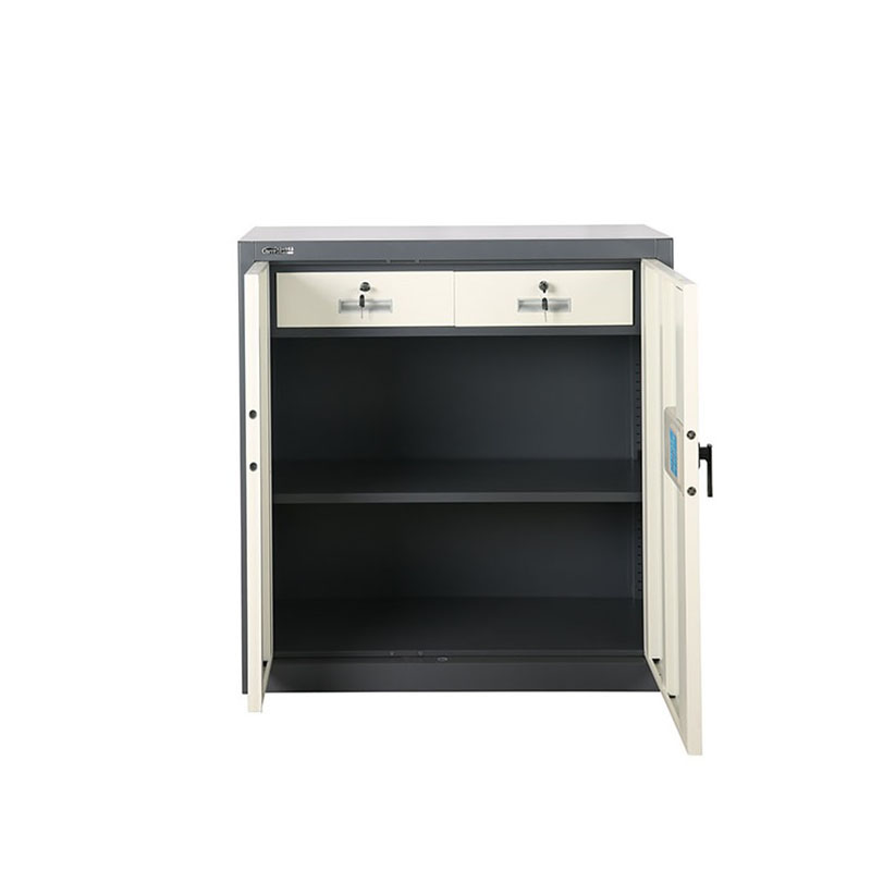 Half-height Double Steel Security Cabinet