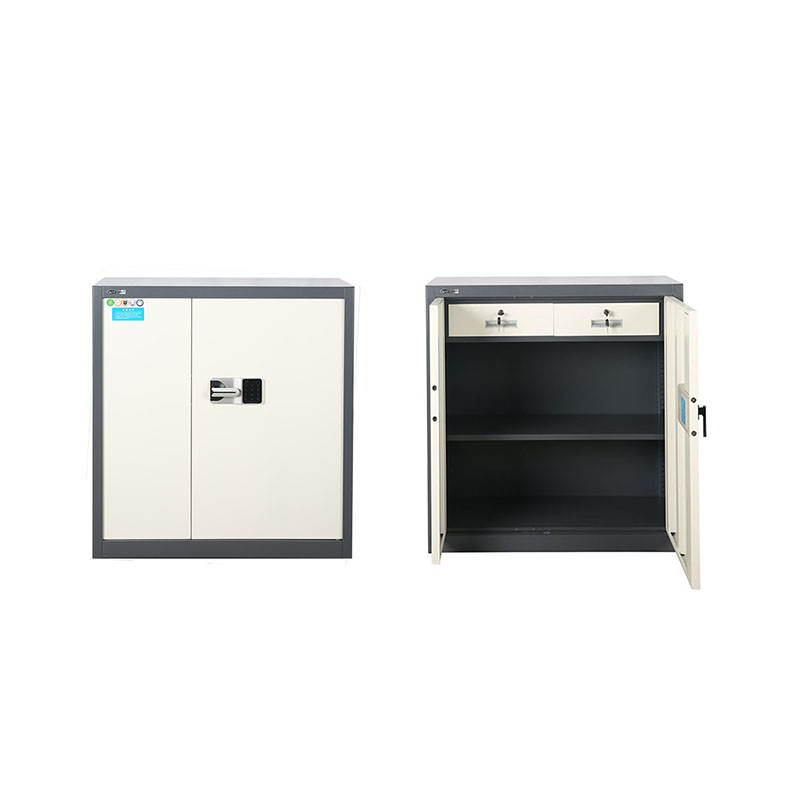 Half-height Double Steel Security Cabinet