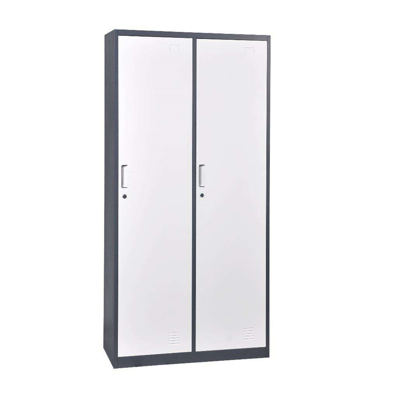 Single Tier 2 Doors Metal Locker