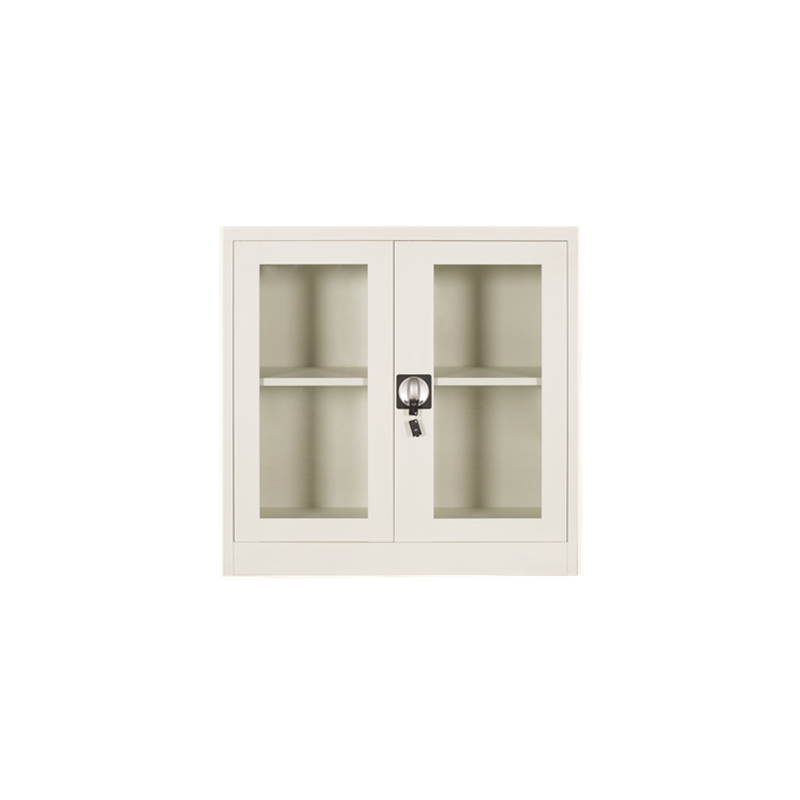 Small Glass Swing Doors Cabinet